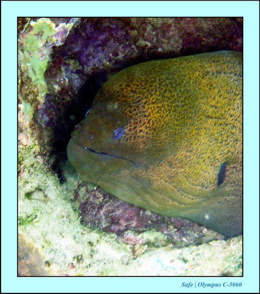 2005 - 08 - Redang  - 212.JPG